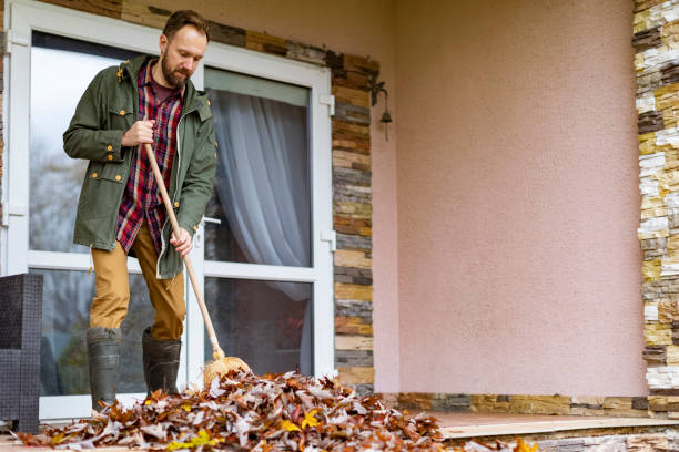 Best Affordable Junk Removal Services  in Bridgeport, IL